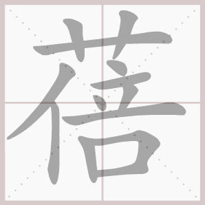 蓓的笔顺,蓓字笔顺