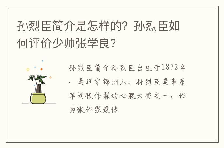 孙烈臣简介是怎样的？孙烈臣如何评价少帅张学良？