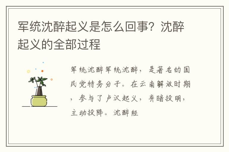 军统沈醉起义是怎么回事？沈醉起义的全部过程