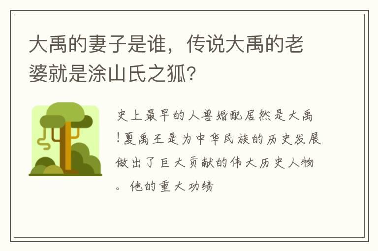 大禹的妻子是谁，传说大禹的老婆就是涂山氏之狐?